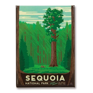 Sequoia Magnet| American Made Magnet
