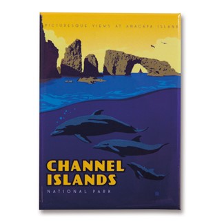 Channel Islands NP Dolphins Magnet