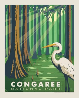 Congaree Print | 8" x10" Print