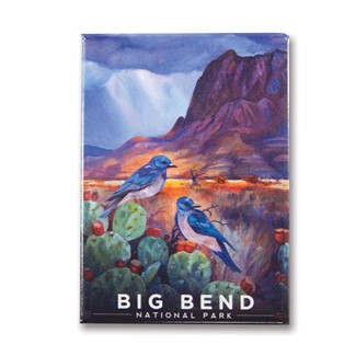 Big Bend NP Desert Perch Magnet | Made in the USA
