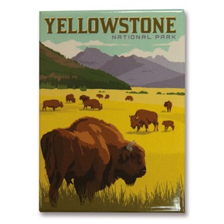 Yellowstone Bison Herd | Made in the USA