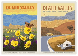 Death Valley Wildflowers & Cow Skull Vinyl Magnet Set