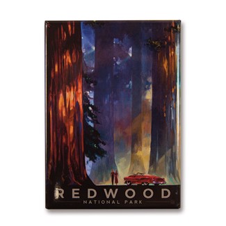 Redwood Among the Giants Magnet | Metal Magnet