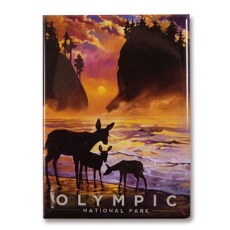 Olympic Magical Moment Magnet | Metal Magnet