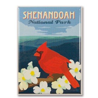 Shenandoah Cardinal on Dogwood Magnet | Metal Magnet