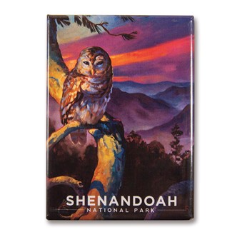 Shenandoah Barred Owl Magnet | Metal Magnet