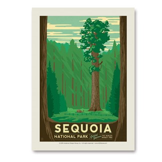 Sequoia | Vertical Sticker