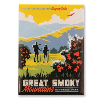 Great Smoky Gregory Bald Magnet | Metal Magnet