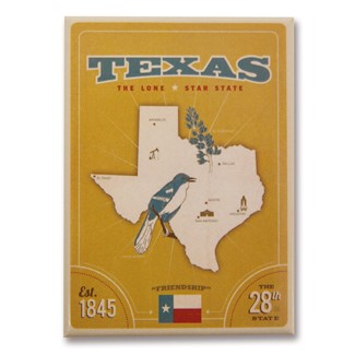 State Pride Print Texas Magnet | American made magnets