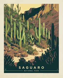 Saguaro Desert Delight 8"x10" Print | 8" x10" Print