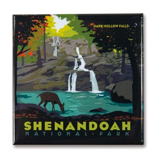 Shenandoah Dark Hollow Falls Square Magnet | Metal Magnet