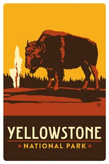 Yellowstone Bison Magnetic Postcard | themed magnet postcard