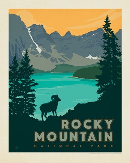Rocky Mountain NP Big Horn 8" x 10" Print | USA Made