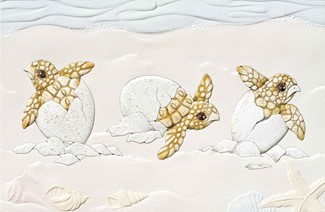Turtle Time | Turtle birthday greeting cards