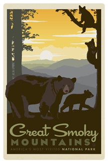 Great Smoky Mama Bear & Cub Magnetic PC | themed magnet postcard