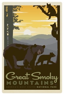 Great Smoky Mama Bear & Cub Magnetic PC