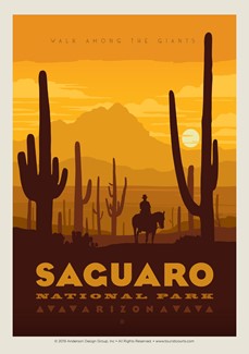 Saguaro Single Magnet | Made in the USA