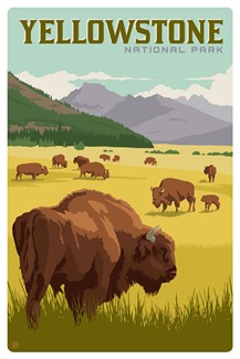 Yellowstone NP Bison Herd Magnetic PC | themed magnet postcard
