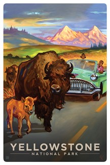 Yellowstone NP Bison Crossing Magnetic PC | themed magnet postcard
