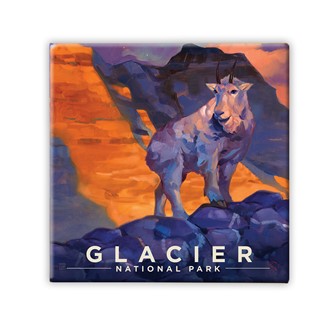 Glacier NP Mountain Goat Square Magnet | Metal Magnet