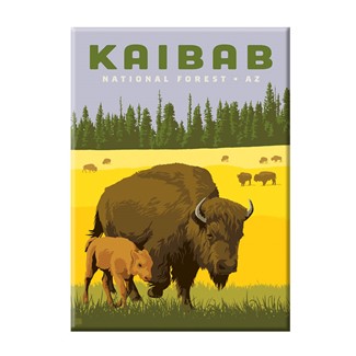 Kaibab National Forest Magnet | Metal Magnet