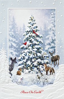 Woodland Christmas | Wildlife themed boxed Christmas cards