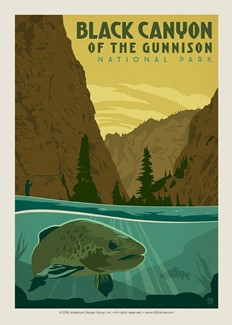 Black Canyon of the Gunnison NP Trout | Postcard