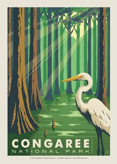 Congaree | Postcard