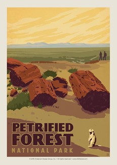 Petrified Forest Postcard