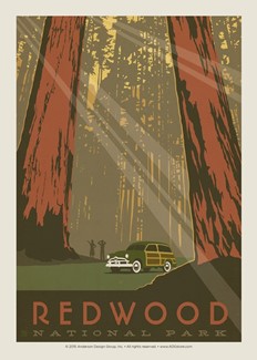 Redwood | Postcard