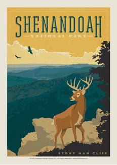 Shenandoah Buck Overlook Postcard