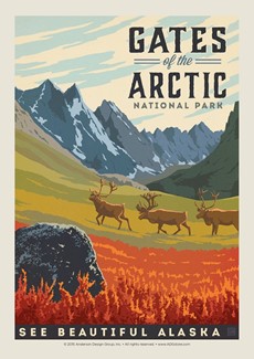 Gates of the Arctic Postcard