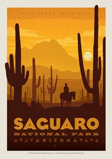 Saguaro | Postcard