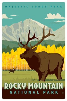 Rocky MTN NP Moose in the Morning Magnetic PC | themed magnet postcard