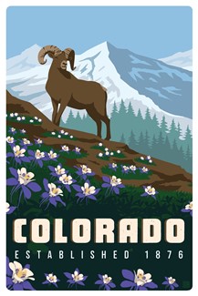Columbine CO Magnetic PC | themed magnet postcard