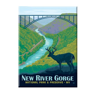 New River Gorge NP & Preserve Magnet | Metal Magnet