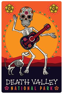 Death Valley National Park Skeleton Magnetic Postcard