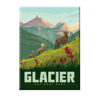 Glacier National Park Bighorn Sheep Magnet | American Made