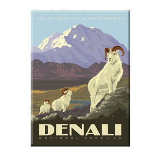 Denali National Park Dall Sheep Magnet | Metal Magnet