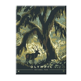 Olympic National Park Deep in the Forest Magnet