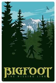 Searching for Bigfoot Magnetic Postcard