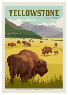 Yellowstone NP Bison Herd Single Magnet | USA Made