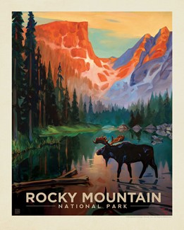 Rocky Mountain Moose In The Morning 8" x10" Print | USA Made