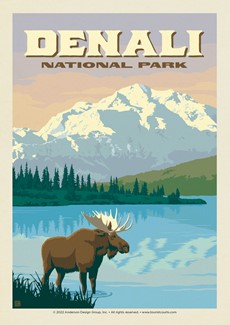 Denali NP Moose | Postcard