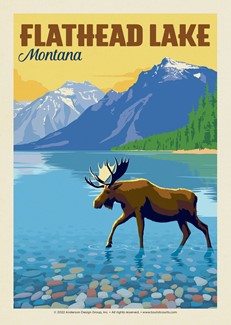 Flathead Lake Montana Moose Postcard