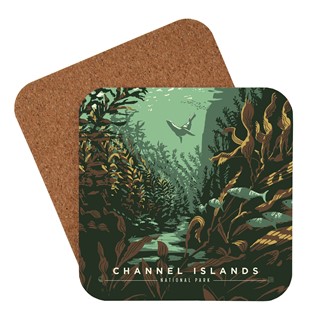 Channel Islands Sea Lion Coaster | American Made Coaster