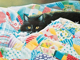 Grandma's Quilt | Get well note cards