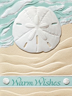 Birthday Dollar | Embossed birthday note cards