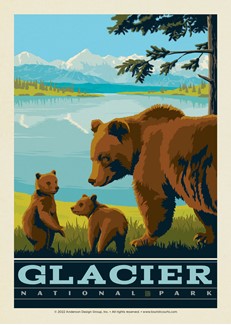 Wildlife Bears Glacier NP | Postcard