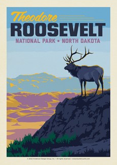 Theodore Roosevelt NP Elk Postcard